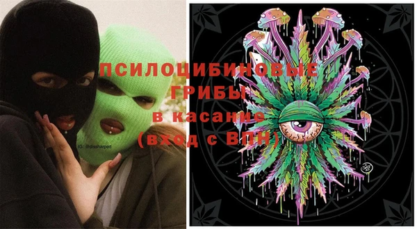 гашик Абинск